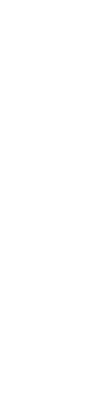 FPC Ocala Spire Icon in White